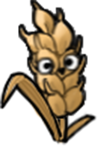 Barley