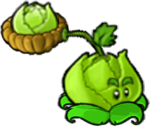 Cabbage-pult