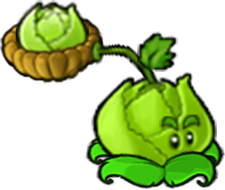 Cabbage-pult