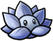 Snow Lotus