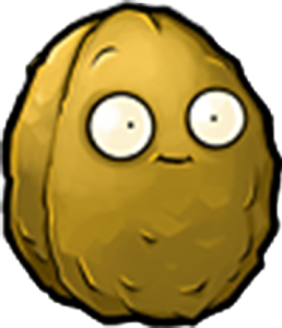 Wall-Nut