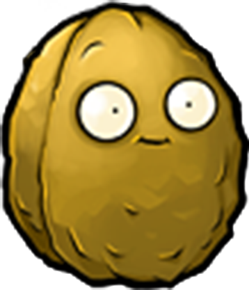 Wall-nut