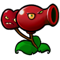 Cherry Bomber