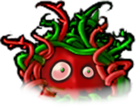 Chilli Kelp