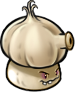 Garlic-shroom