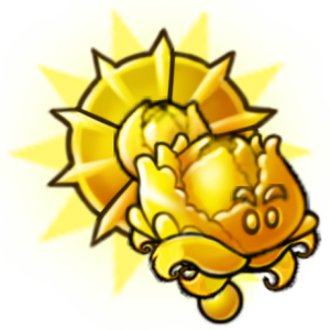 Helios Cabbage