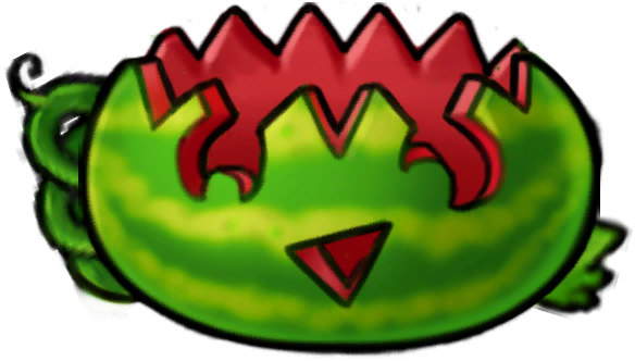 Melon Shell