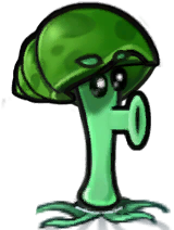 Shelly-shroom