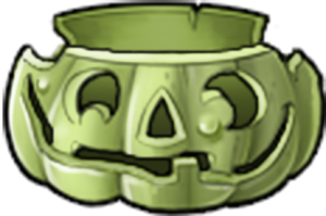 Squash Pumpkin