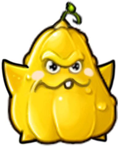 Starry Squash
