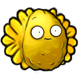 Sun-nut