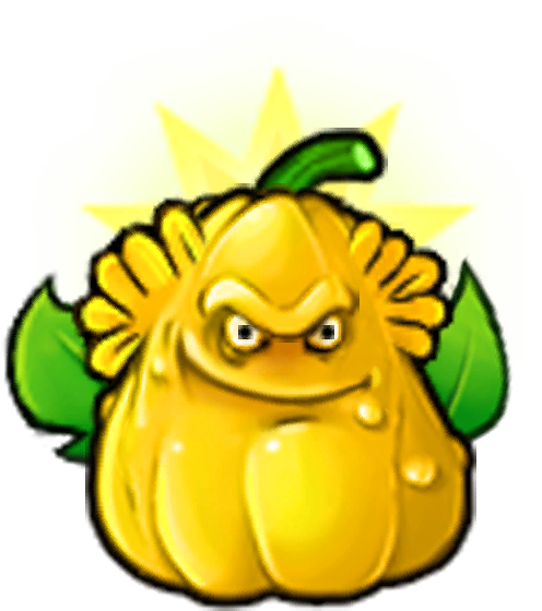 Sun Squash