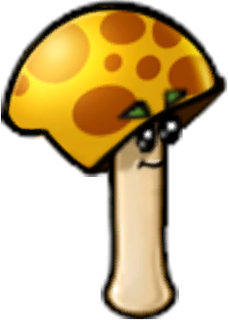 Sunny-shroom