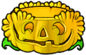 Sunny Pumpkin