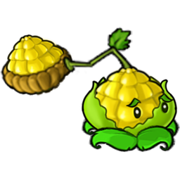 Sweet Corn