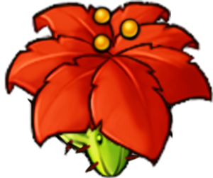 Umbrella Cactus