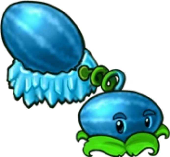 Winter Melon